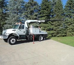 2007 Effer 95/3S MOUNTED ON 2007 INTERNATIONAL WORKSTAR 7400