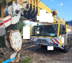 2002 Terex Demag AC 100