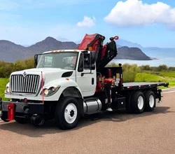 2014 Fassi F335A.2.25 MOUNTED ON INTERNATIONAL WORKSTAR 7400