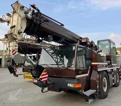 2008 Liebherr LTM1030-2.1